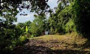 dji_fly_20250115_085732_0659_1736953474370_photo