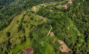 dji_fly_20250115_090028_0662_1736953482797_photo