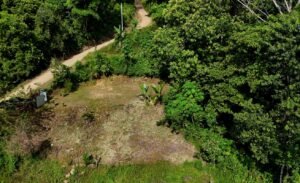 dji_fly_20250115_090132_0663_1736953487867_photo