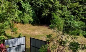 dji_fly_20250115_090256_0665_1736953493285_photo