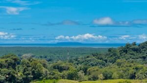Property For Sale in Ojochal Costa Rica