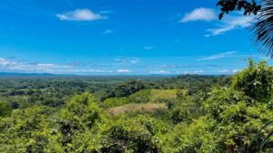 Property For Sale in Ojochal Costa Rica