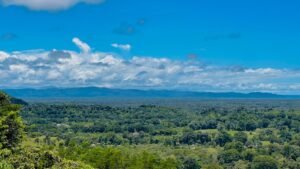 Property For Sale in Ojochal Costa Rica