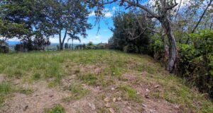 140015 Development Property For Sale 06