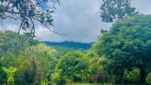 Property For Sale in Ojochal Costa Rica