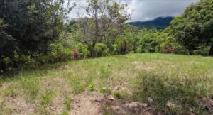 140015 Development Property For Sale 11