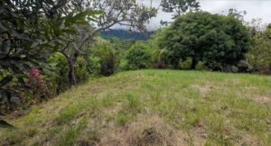 140015 Development Property For Sale 12