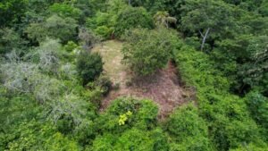 Property For Sale in Ojochal Costa Rica