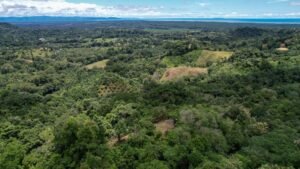 Property For Sale in Ojochal Costa Rica