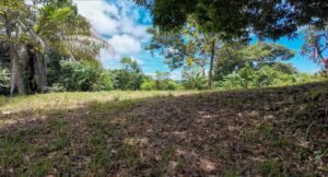 140015 Development Property For Sale 15