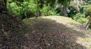 140015 Development Property For Sale 17