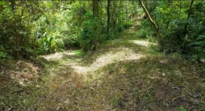 140015 Development Property For Sale 18