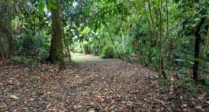 140015 Development Property For Sale 21