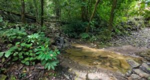 140015 Development Property For Sale 22