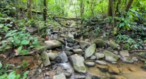 140015 Development Property For Sale 23