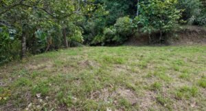 140015 Development Property For Sale 25