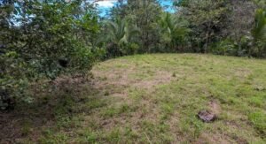 140015 Development Property For Sale 28