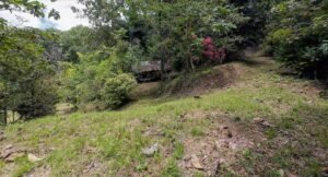 140015 Development Property For Sale 30