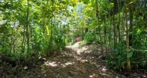 140015 Development Property For Sale 31