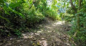 140015 Development Property For Sale 33