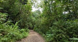 140015 Development Property For Sale 34