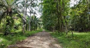 140015 Development Property For Sale 35