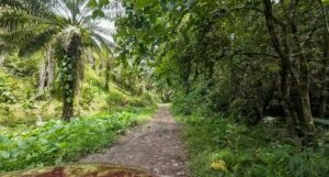 140015 Development Property For Sale 36