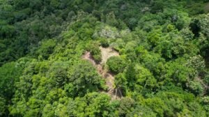 Property For Sale in Ojochal Costa Rica