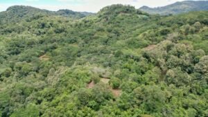 Property For Sale in Ojochal Costa Rica
