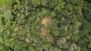 Property For Sale in Ojochal Costa Rica