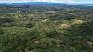 Property For Sale in Ojochal Costa Rica