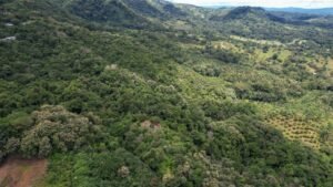 Property For Sale in Ojochal Costa Rica