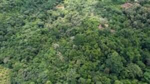 Property For Sale in Ojochal Costa Rica