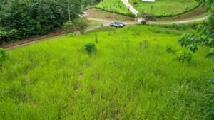 Property For Sale in Ojochal Costa Rica