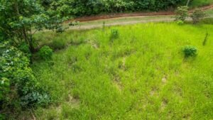 Property For Sale in Ojochal Costa Rica