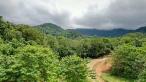 Property For Sale in Ojochal Costa Rica