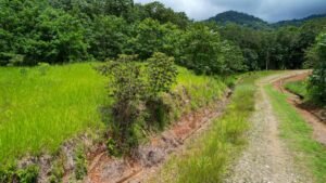 Property For Sale in Ojochal Costa Rica