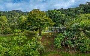 Foto 10-13-25, 8 03 03 am