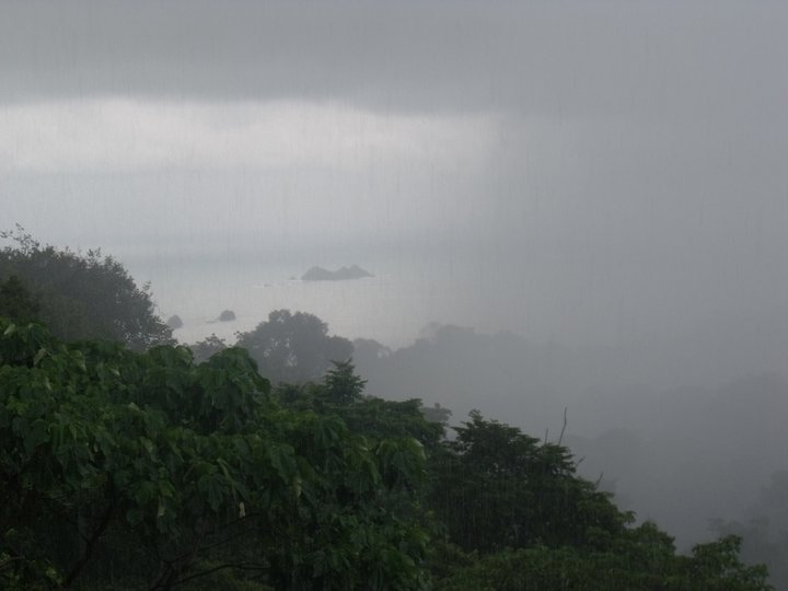 Tropical rains wash out nutrients - and lightning is a key process of nitrogen replenishment. 
