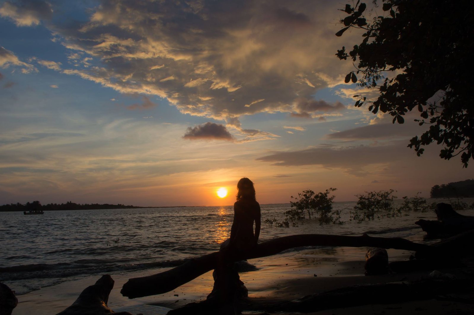The Beauty & Science of Our Pacific Sunsets