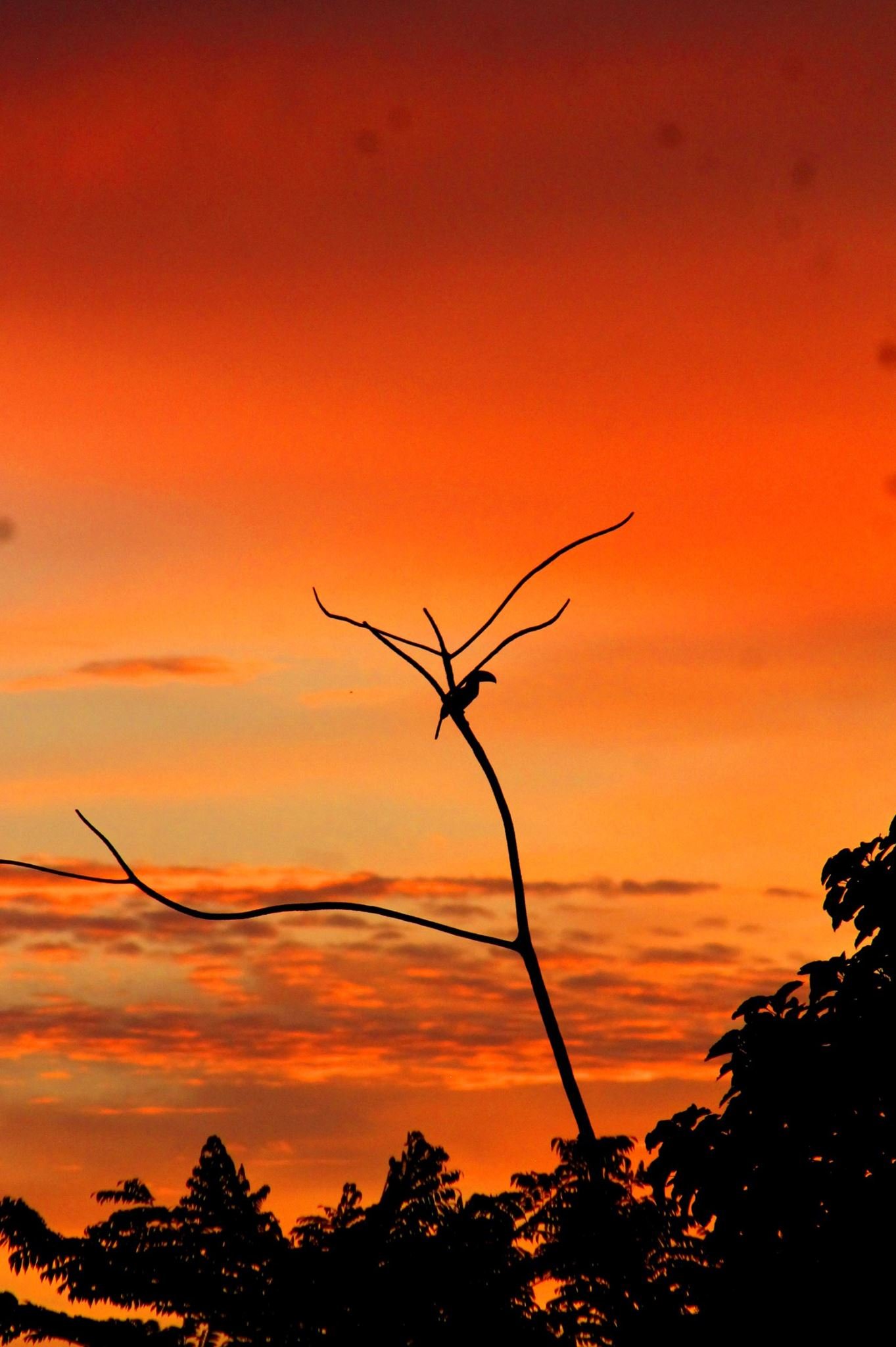 Fiery red sunset near Ojochal, Costa Rica. 