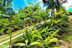 183118 (15) 3-bed-house-for-sale-in-costa-rica