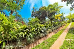 183118 (16) 3-bed-house-for-sale-in-costa-rica