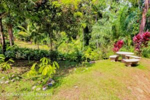 183118 (17) 3-bed-house-for-sale-in-costa-rica