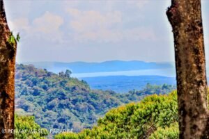 183118 (4) 3-bed-house-for-sale-in-costa-rica