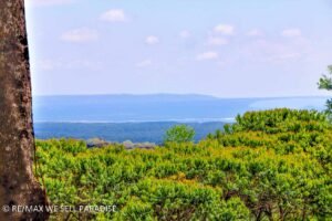 183118 (5) 3-bed-house-for-sale-in-costa-rica