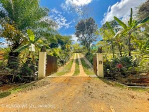 183118 (60) 3-bed-house-for-sale-in-costa-rica