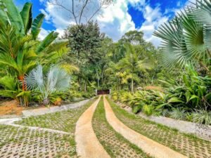 183118 (66) 3-bed-house-for-sale-in-costa-rica