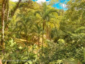 183815 (37) 3-Bed-House-For-Sale-In-Ojochal