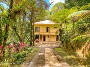 183815 (4) 3-Bed-House-For-Sale-In-Ojochal